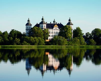 Tag along to Gårdsjö Älgpark, and hang out with the moose in their natural habitat